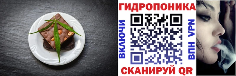 shop клад  наркошоп  Новопавловск  Еда ТГК конопля 