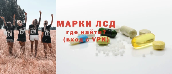 сатива Верея