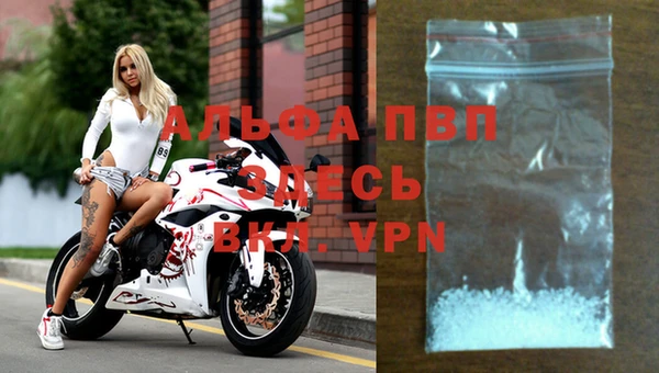 сатива Верея