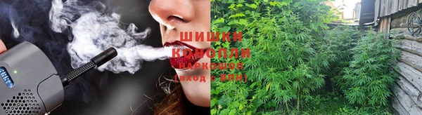 сатива Верея
