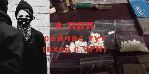 прущие грибы Верхнеуральск