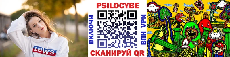 магазин продажи   Новопавловск  Галлюциногенные грибы Psilocybe 